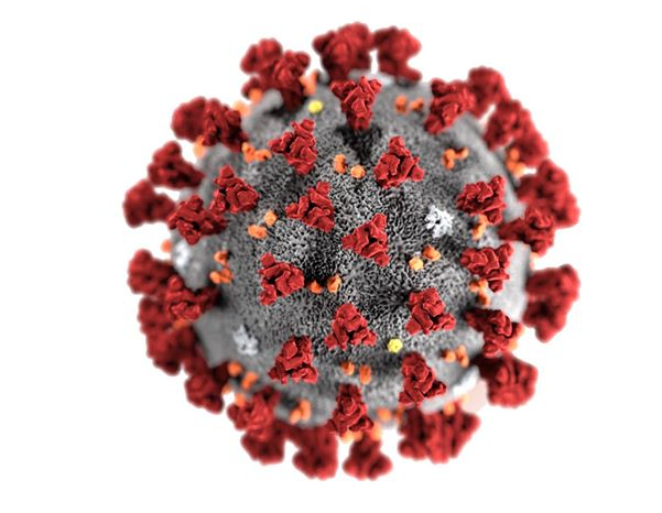 Image of Coronavirus