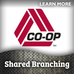 Image of the CO-OP logo