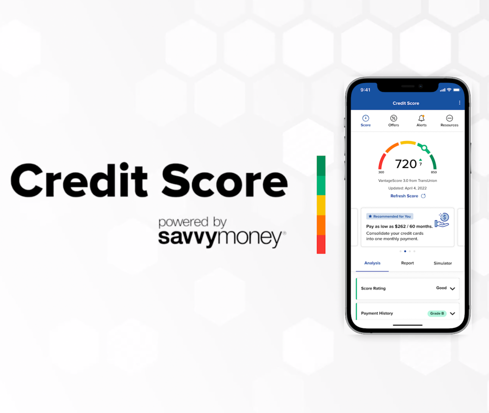 SavvyMoney