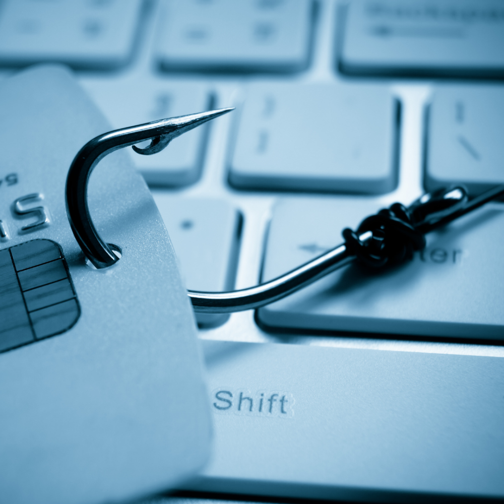 No Phishing! How to Avoid Getting Scammed