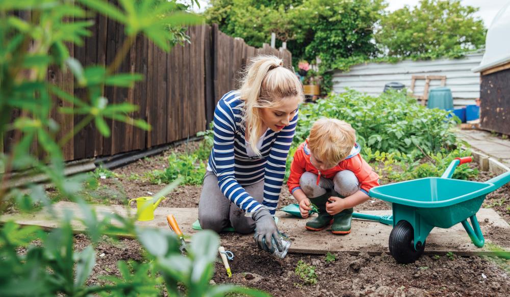 Woman and son engaged in bedding out flowers.