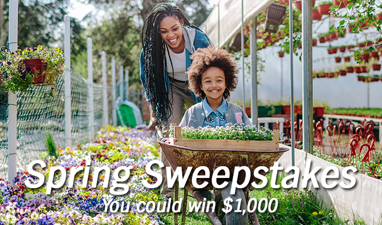 Spring Sweepstakes. You could win $1,000