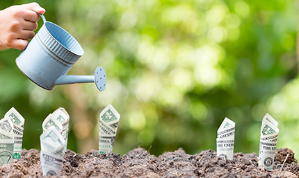 Financial Wellness