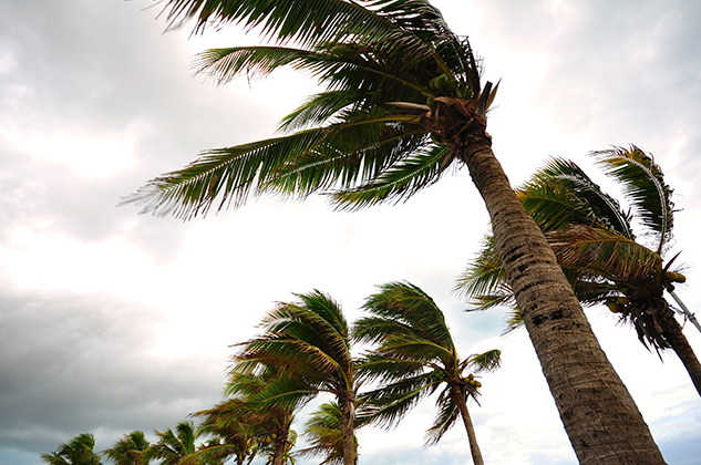 Hurricane Checklist