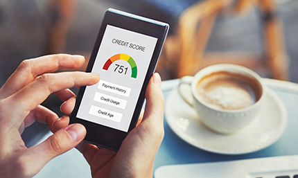 Credit Score Meter